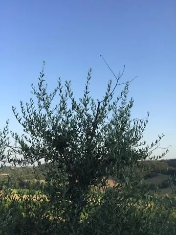 Сasa de vacaciones Casa Natura San Gimignano Italia